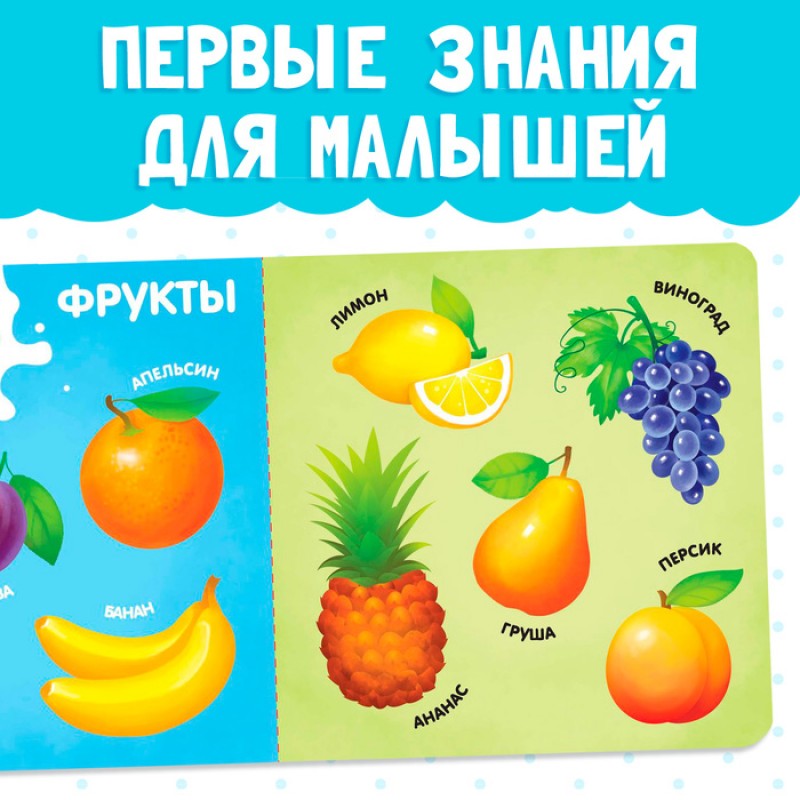 Картонная книга "Фрукты, овощи и не только"   4021442