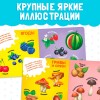 Картонная книга "Фрукты, овощи и не только"   4021442