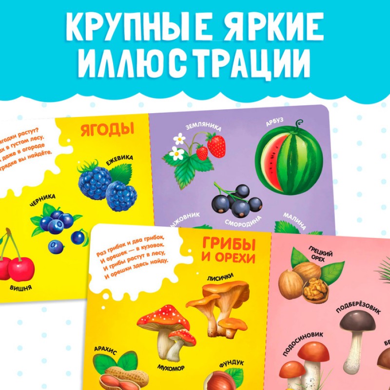 Картонная книга "Фрукты, овощи и не только"   4021442