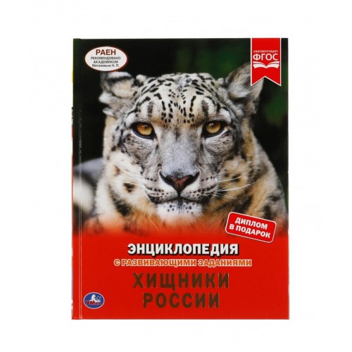 ХИЩНИКИ РОССИИ. ЭНЦИКЛОПЕДИЯ А4 С РАЗВИВАЮЩИМИ ЗАДАНИЯМИ. 197Х255ММ, 48 СТР. УМКА в кор.15шт