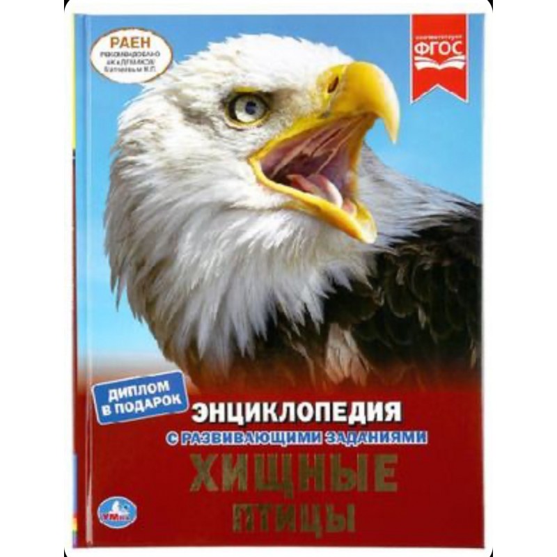 293363 Хищные птицы. (Энциклопедия А4 с развивающими заданиями). 197х255мм. 48 стр. Умка в кор.15шт 978-5-506-04089-7