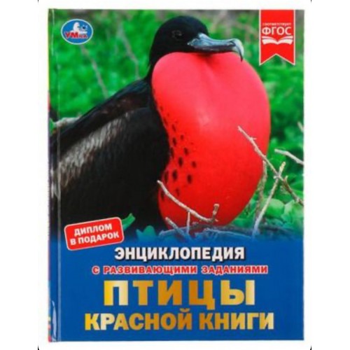 332339 Птицы Красной книги. Н. В. Седова. Энциклопедия с развивающими заданиями. 48 стр. Умка в кор.15шт 978-5-506-07492-2