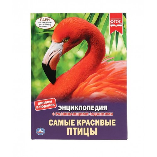 "УМКА". САМЫЕ КРАСИВЫЕ ПТИЦЫ (ЭНЦИКЛОПЕДИЯ А4 С РАЗВИВАЮЩИМИ ЗАДАНИЯМИ). ТВЕРДЫЙ ПЕРЕПЛЕТ в кор.15шт