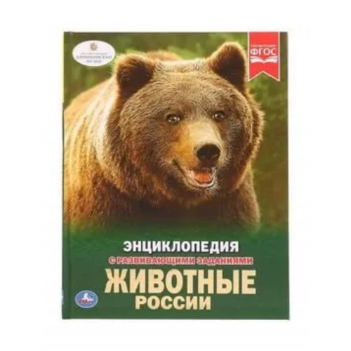 Животные России. (Энциклопедия А4 с развивающими заданиями). 197х255мм. 48 стр. Умка в кор.15шт