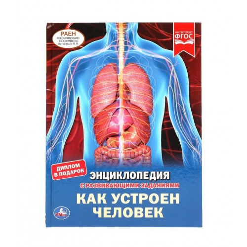 305691 Как устроен человек. Энциклопедия А4 с развивающими заданиями. 197х255мм, 48 стр. Умка в кор.15шт 978-5-506-04948-7