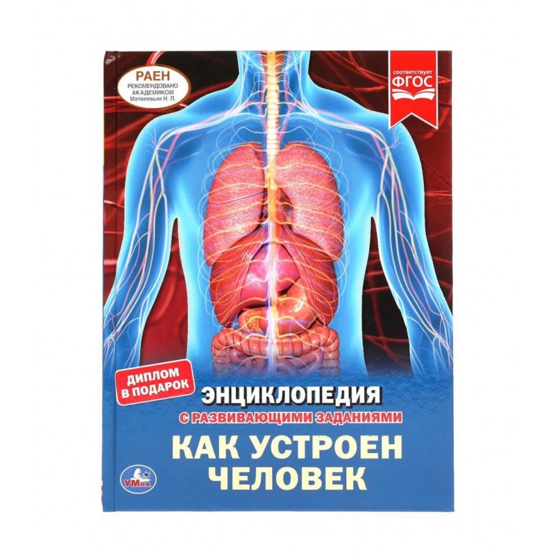 305691 Как устроен человек. Энциклопедия А4 с развивающими заданиями. 197х255мм, 48 стр. Умка в кор.15шт 978-5-506-04948-7