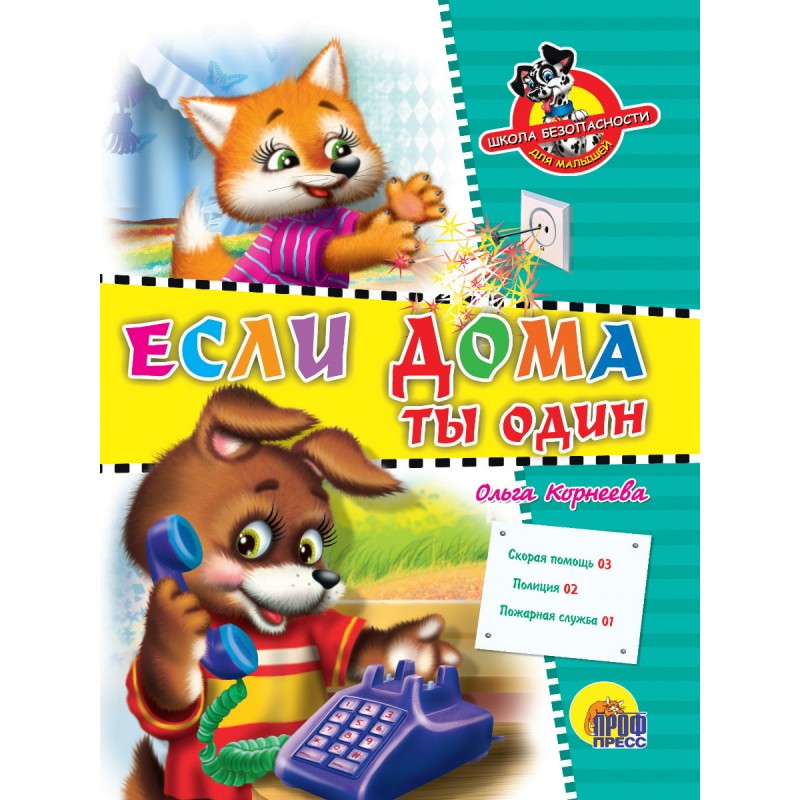 ЦК. ШКОЛА БЕЗОПАСНОСТИ. ЕСЛИ ДОМА ТЫ ОДИН